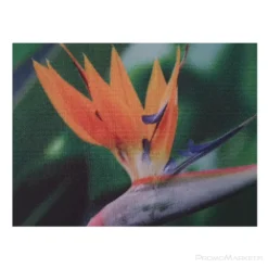 Mainoskangas Decor materiaali