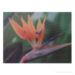 Banderolli lippukangas materiaali